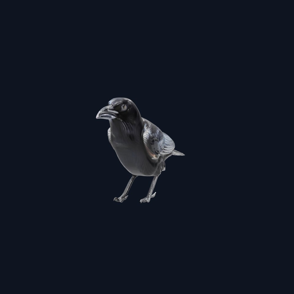 American Crow 3D Model with Realistic Black Plumage